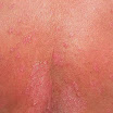 DSCN0719.JPG