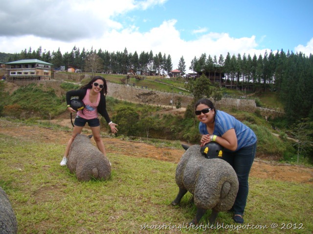 [DSC06555%255B13%255D.jpg]