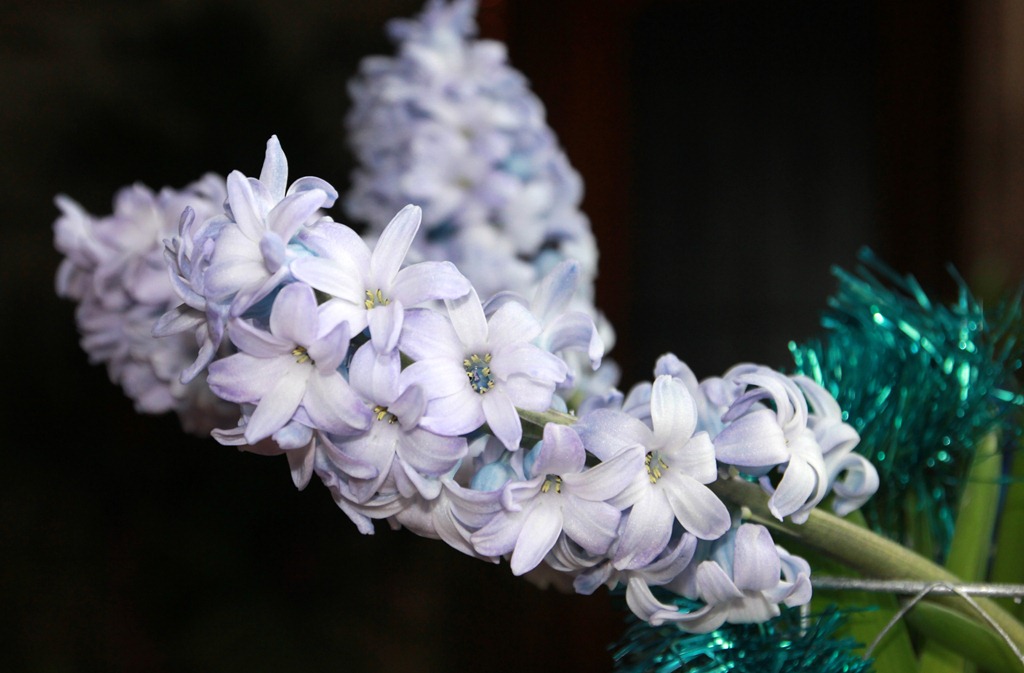 [IMG_6579%255B3%255D.jpg]