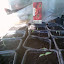 Tomato 'Gardener's delight'