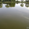 dsc03334.jpg