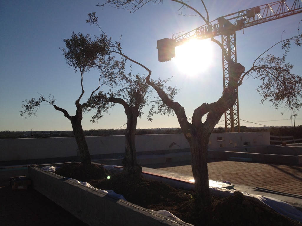 [IMG_0286%255B3%255D.jpg]