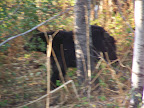 glacier_national_park_-_2007