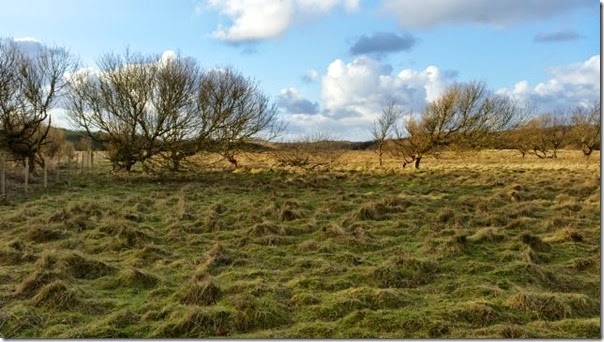 freshfield 4 freshfield 4