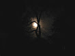 Night