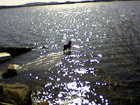 Bill på bryggan, lite högvatten!
