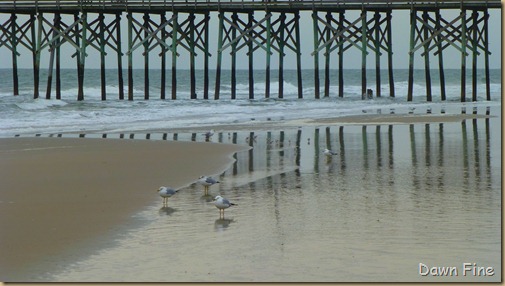 Pawleys island (9)