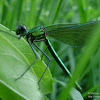 dsc03430.jpg