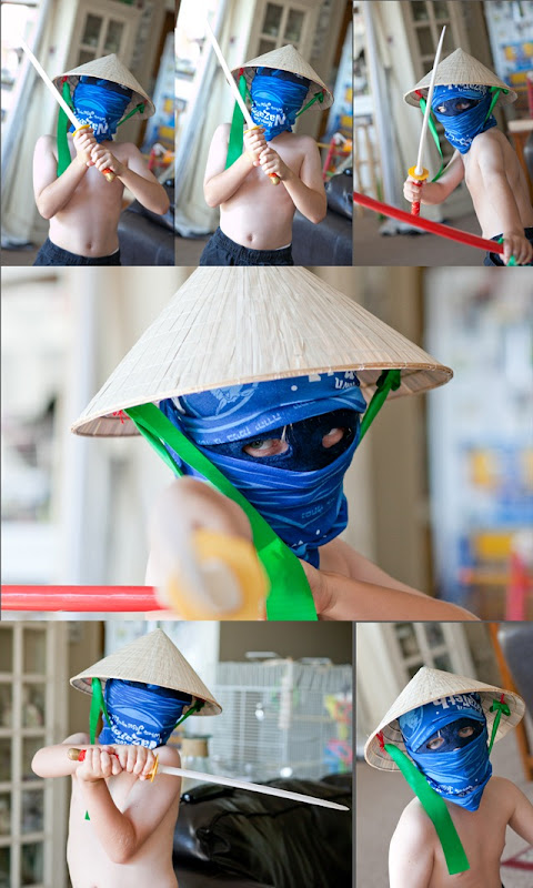 Ninja collage