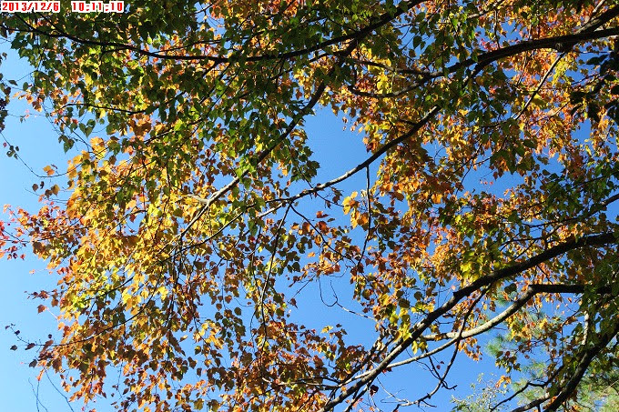 2013_1206_101110 2013_1206_101110