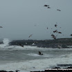 Sean Rooney - November Storm.jpg