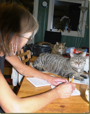 Fall 2011 - Kitchen Cats - Anna Writer