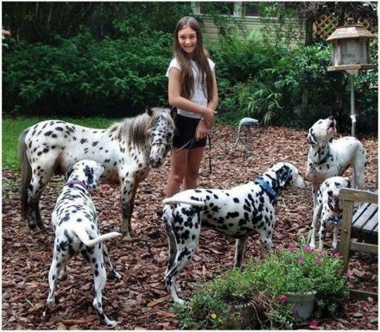 [viral-picdump-pics-45da00%255B2%255D.jpg]