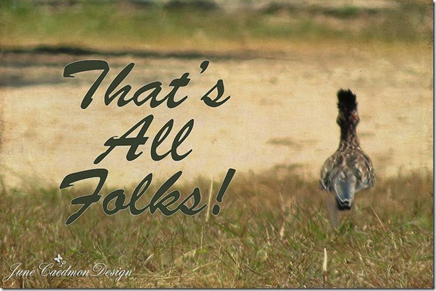Roadrunner4 Roadrunner4