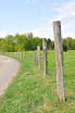 DSC_0054.JPG