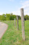 DSC_0054.JPG