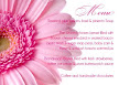 Pale Pink Gerbera 6 Menu
