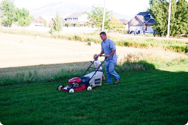 Mowing Lawn Mowing Lawn