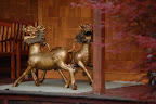 DSC_0024.JPG
