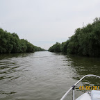 IMG_0303.JPG