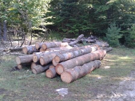 [2012-08-16%252009.12.24%255B3%255D.jpg]