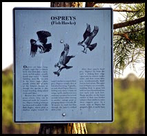 05 - Past the Osprey Sign