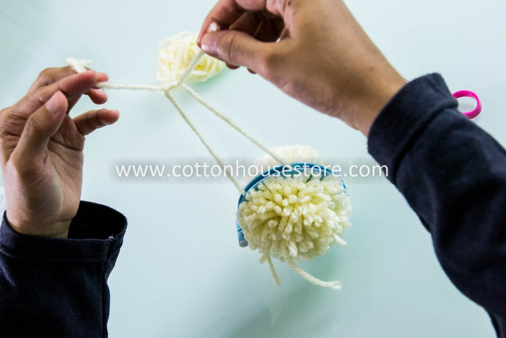 [DSC_1414_pompom%255B3%255D.jpg]