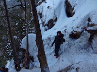 DSC00431.jpg