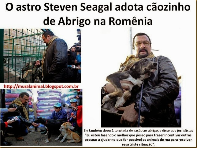 steven-seagal1 steven-seagal1