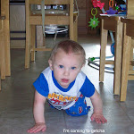 misadventures of Mason 006.JPG