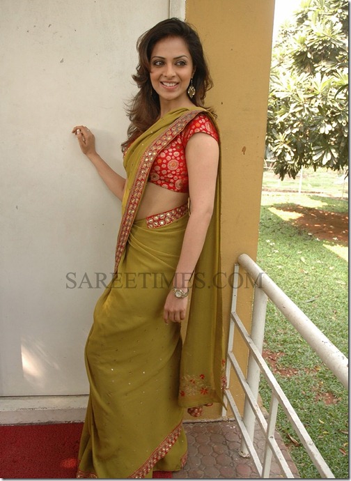 Richa_Designer_Sari