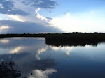 IMG_4238.jpg