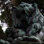 20100402_153.JPG