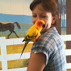 mural24.jpg