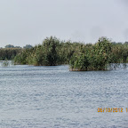 IMG_7995.JPG