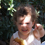 DSCF9530.JPG