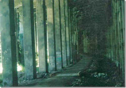 Inside of Concrete Snowshed on the Iron Goat Trail in 2000