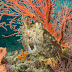 P7034444