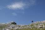 DSC03238.JPG