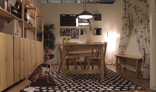 IKEA and Dogs 01