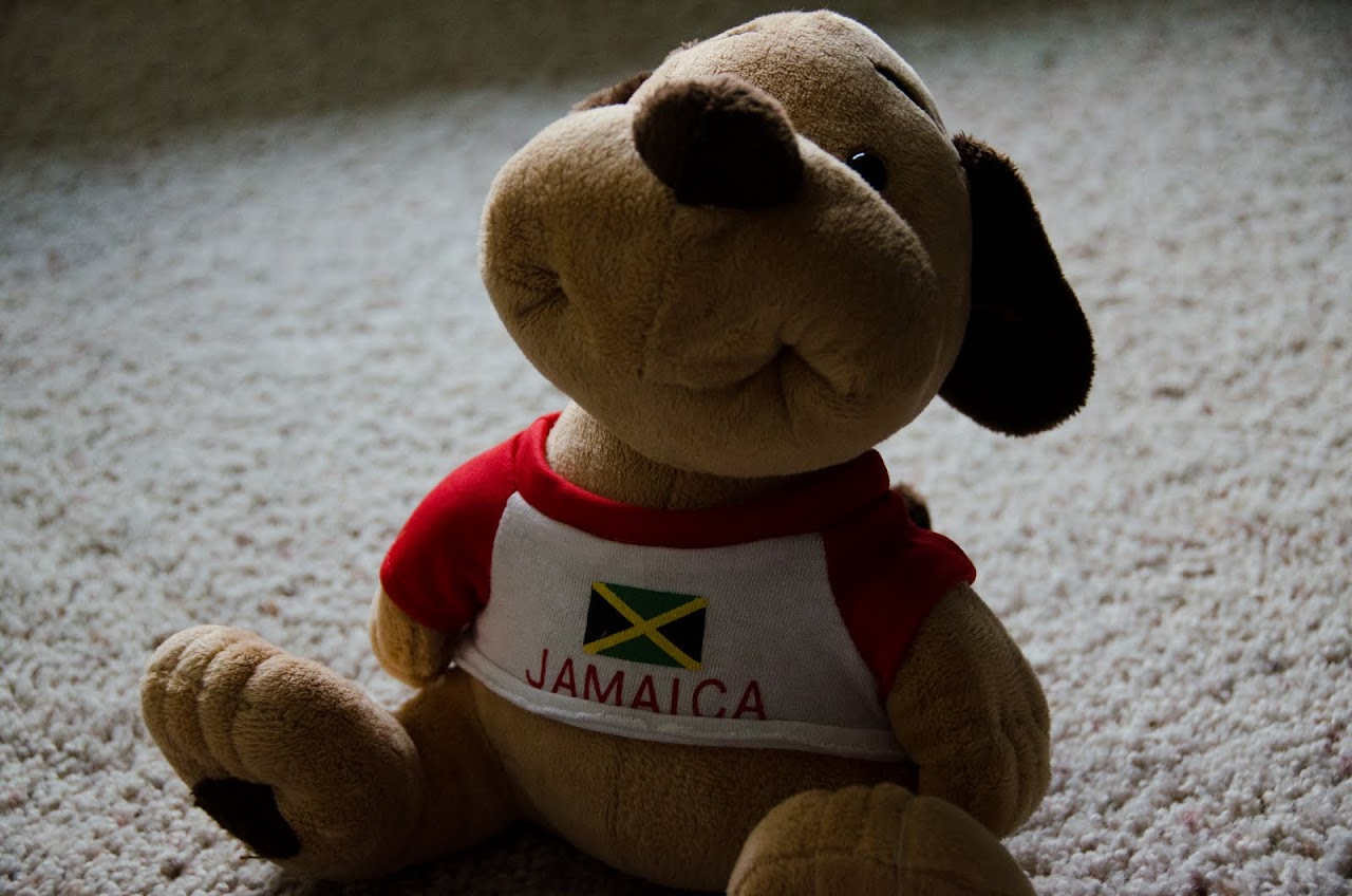 Jamaica toy