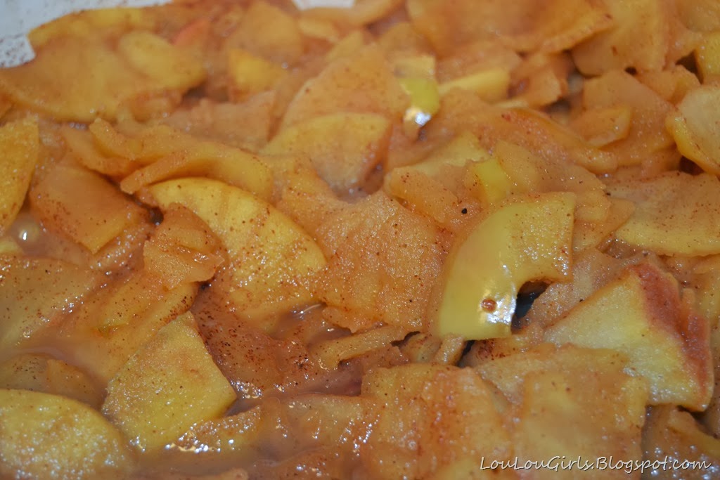 [Homemade-Applesauce-Recipe-143.jpg]