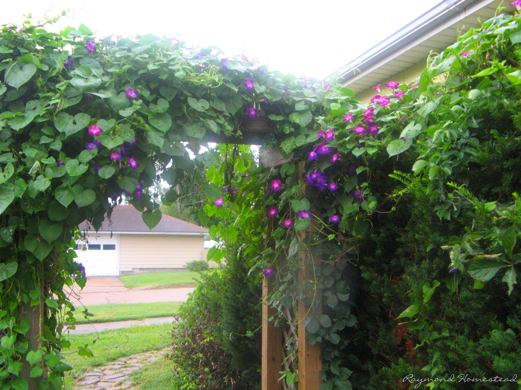 [pcpics%25201439%255B9%255D.jpg]