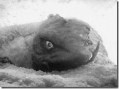 Gammera Emerges from the Ice