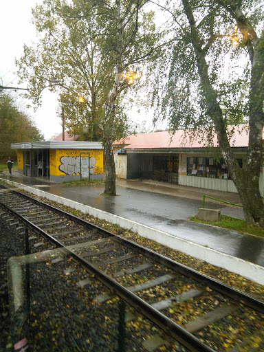 Szilasliget Suburban Railway Station 
