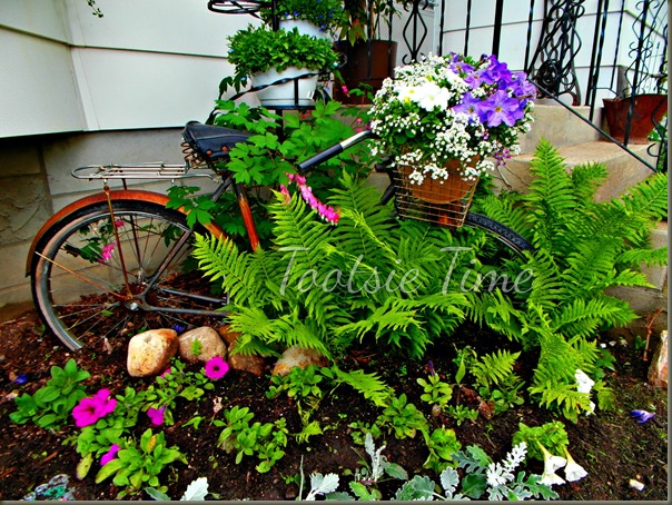 BeFunky_175.jpg BeFunky_175.jpg