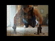 Upper Body Massacre By Tony Horton