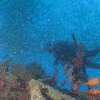 Dive at Kapalai
