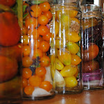 Gemüse_eingelegtes_0012.JPG
