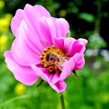 DSCF77727.jpg